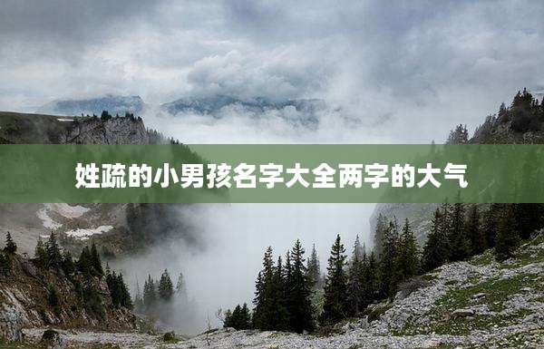 姓疏的小男孩名字大全两字的大气