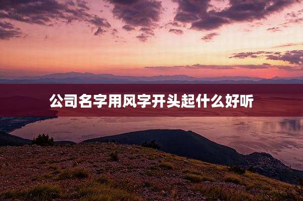 公司名字用风字开头起什么好听