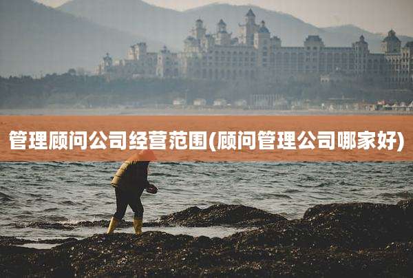 管理顾问公司经营范围(顾问管理公司哪家好)
