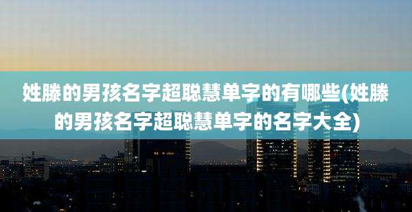 姓滕的男孩名字超聪慧单字的有哪些(姓滕的男孩名字超聪慧单字的名字大全)