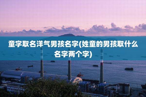 童字取名洋气男孩名字(姓童的男孩取什么名字两个字)