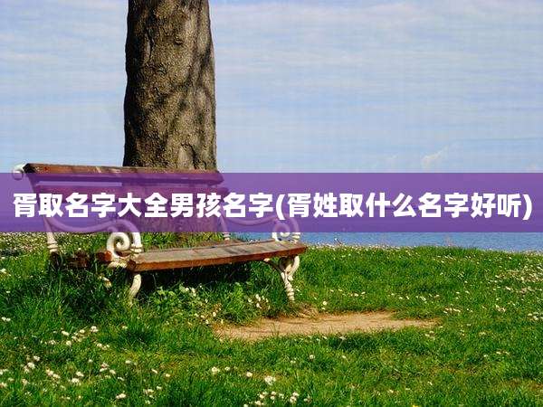 胥取名字大全男孩名字(胥姓取什么名字好听)