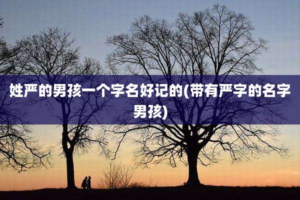 姓严的男孩一个字名好记的(带有严字的名字男孩)