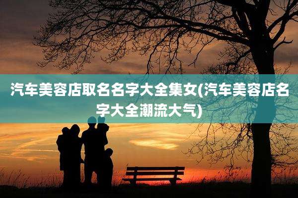 汽车美容店取名名字大全集女(汽车美容店名字大全潮流大气)