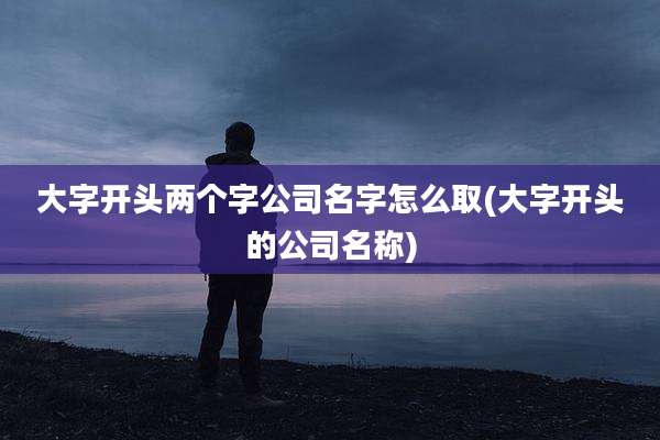 大字开头两个字公司名字怎么取(大字开头的公司名称)