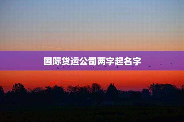 国际货运公司两字起名字