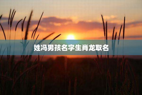 姓冯男孩名字生肖龙取名