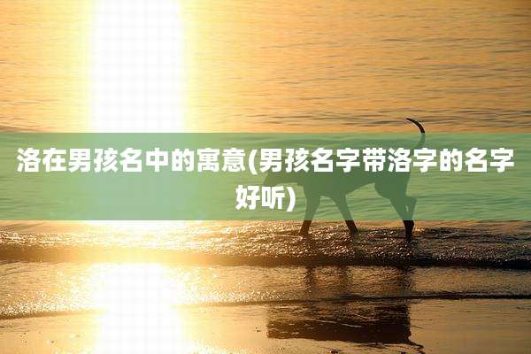 洛在男孩名中的寓意(男孩名字带洛字的名字好听)