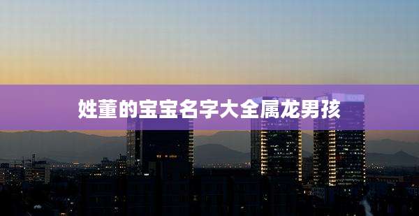 姓董的宝宝名字大全属龙男孩