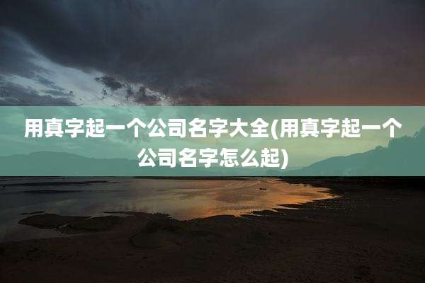 用真字起一个公司名字大全(用真字起一个公司名字怎么起)
