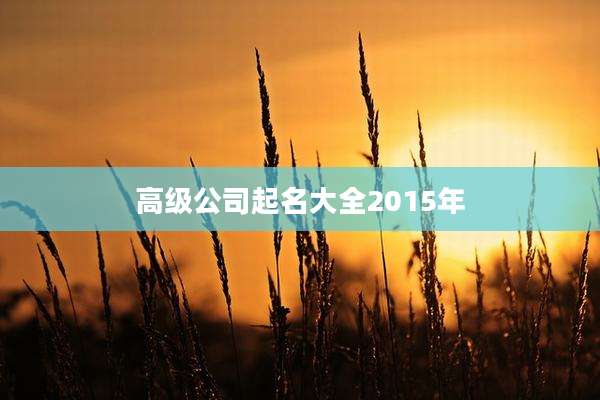 高级公司起名大全2015年