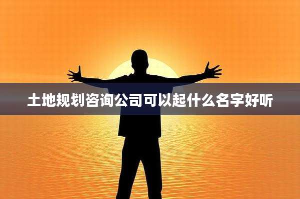 土地规划咨询公司可以起什么名字好听
