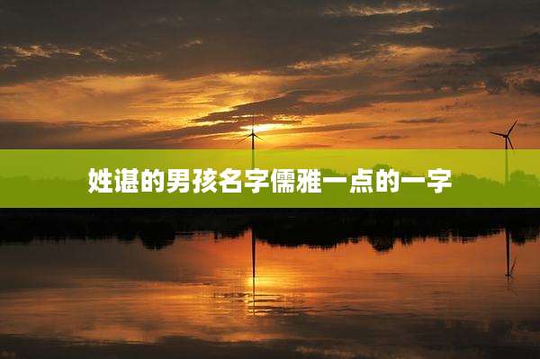 姓谌的男孩名字儒雅一点的一字