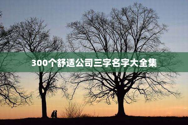 300个舒适公司三字名字大全集