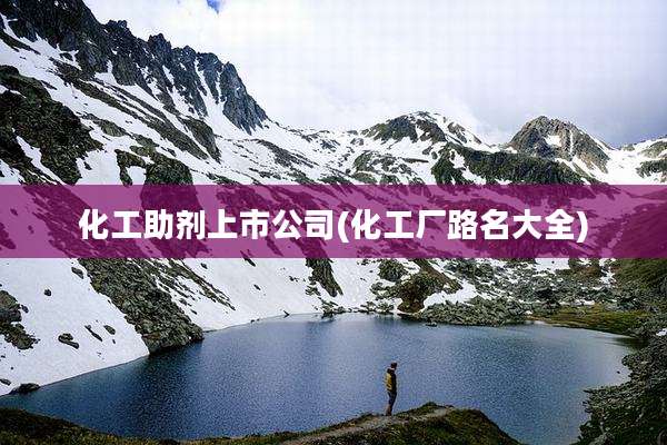化工助剂上市公司(化工厂路名大全)