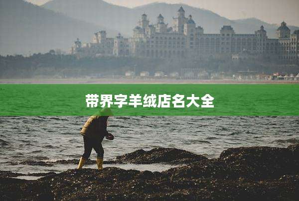 带界字羊绒店名大全