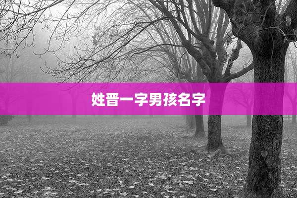 姓晋一字男孩名字