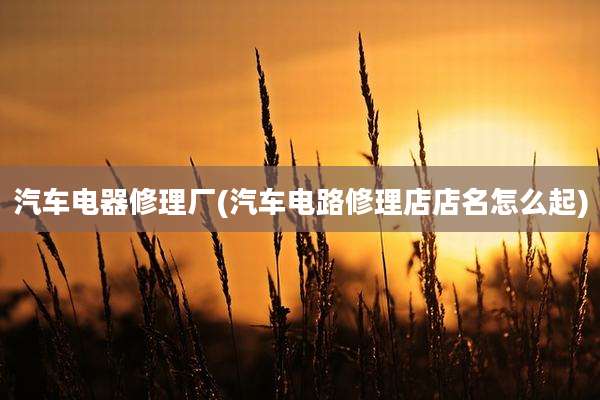 汽车电器修理厂(汽车电路修理店店名怎么起)