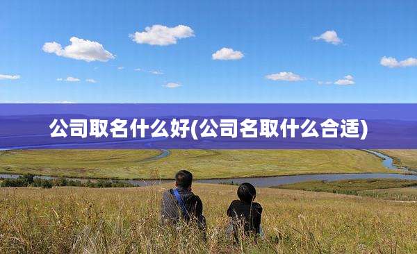 公司取名什么好(公司名取什么合适)