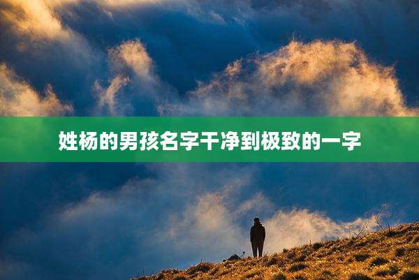 姓杨的男孩名字干净到极致的一字