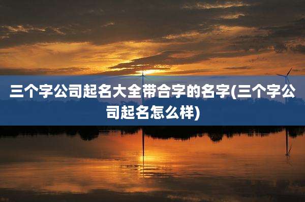 三个字公司起名大全带合字的名字(三个字公司起名怎么样)