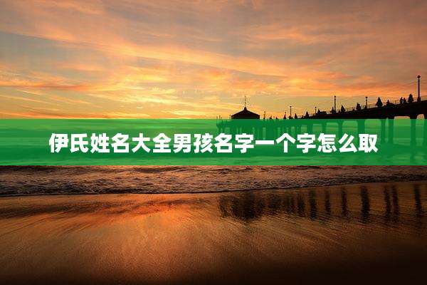 伊氏姓名大全男孩名字一个字怎么取