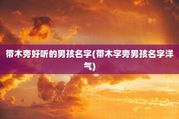 带木旁好听的男孩名字(带木字旁男孩名字洋气)