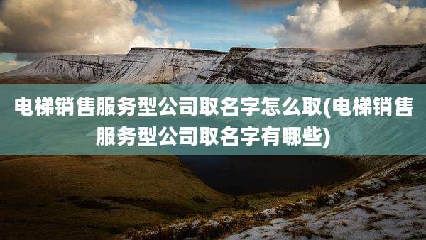 电梯销售服务型公司取名字怎么取(电梯销售服务型公司取名字有哪些)