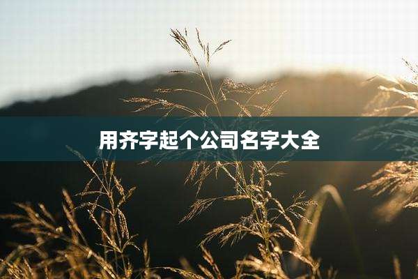 用齐字起个公司名字大全