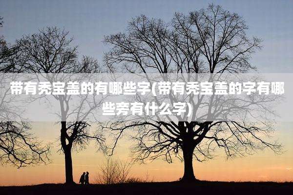 带有秃宝盖的有哪些字(带有秃宝盖的字有哪些旁有什么字)