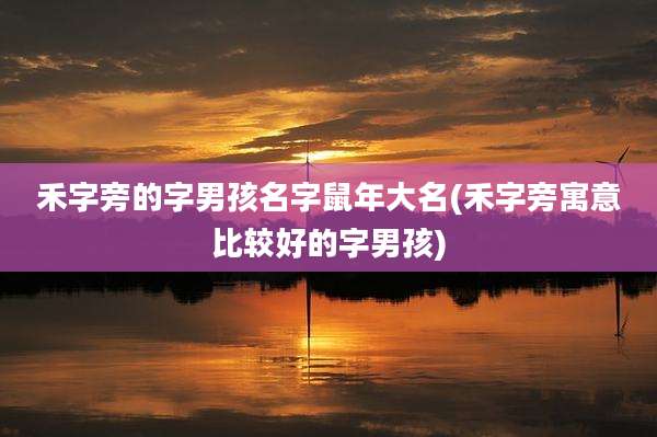 禾字旁的字男孩名字鼠年大名(禾字旁寓意比较好的字男孩)