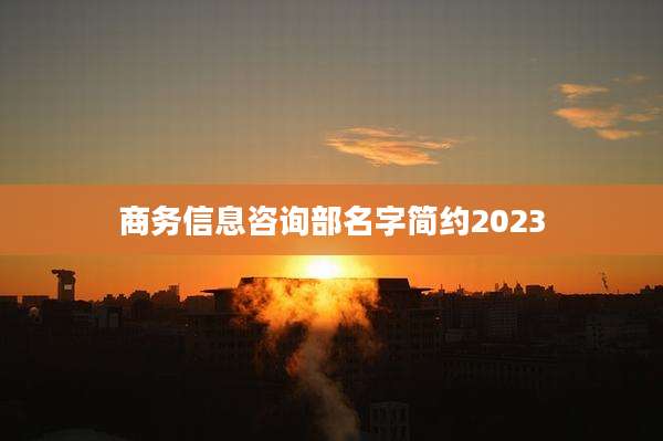 商务信息咨询部名字简约2023