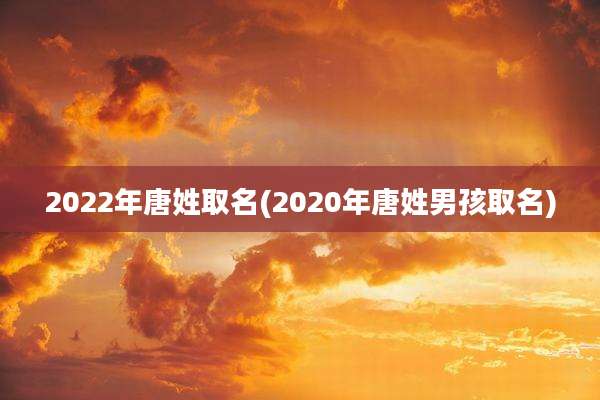 2022年唐姓取名(2020年唐姓男孩取名)