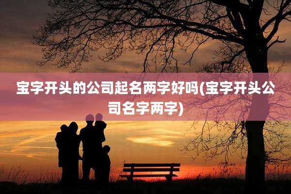宝字开头的公司起名两字好吗(宝字开头公司名字两字)