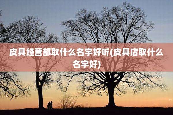 皮具经营部取什么名字好听(皮具店取什么名字好)