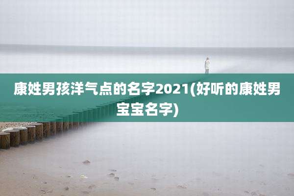 康姓男孩洋气点的名字2021(好听的康姓男宝宝名字)