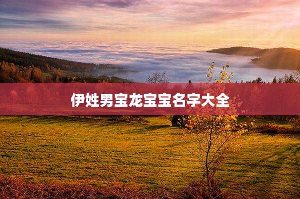 伊姓男宝龙宝宝名字大全