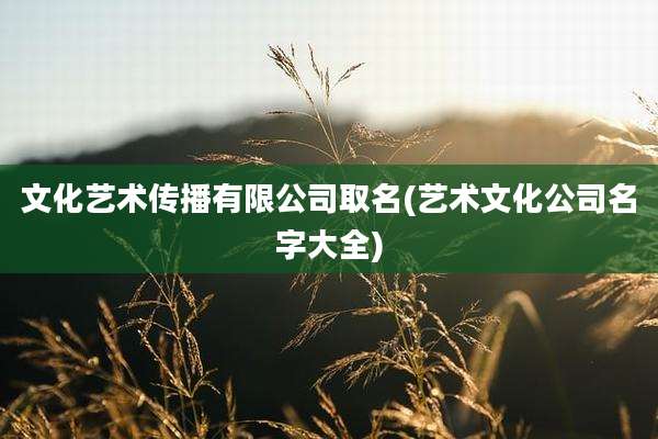 文化艺术传播有限公司取名(艺术文化公司名字大全)
