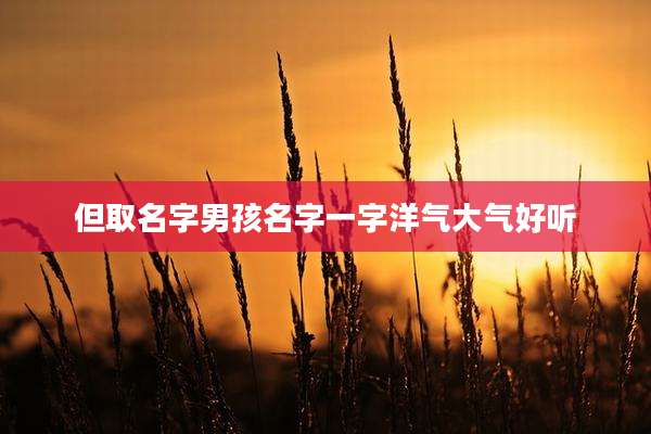 但取名字男孩名字一字洋气大气好听