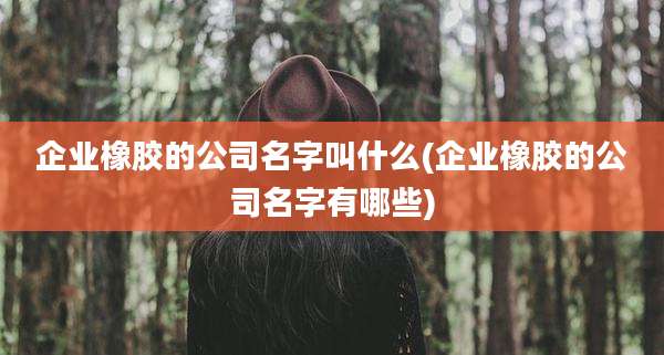 企业橡胶的公司名字叫什么(企业橡胶的公司名字有哪些)