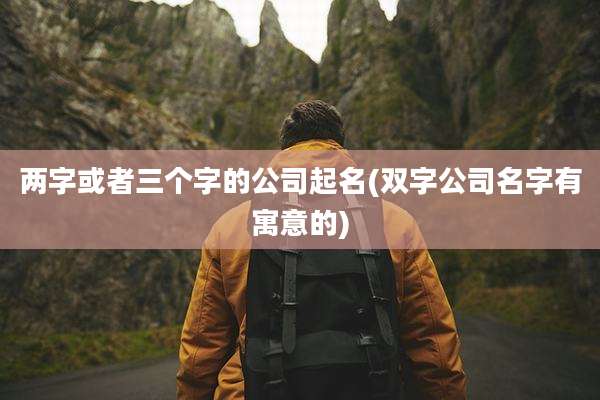 两字或者三个字的公司起名(双字公司名字有寓意的)