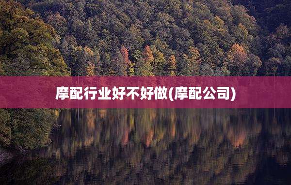 摩配行业好不好做(摩配公司)