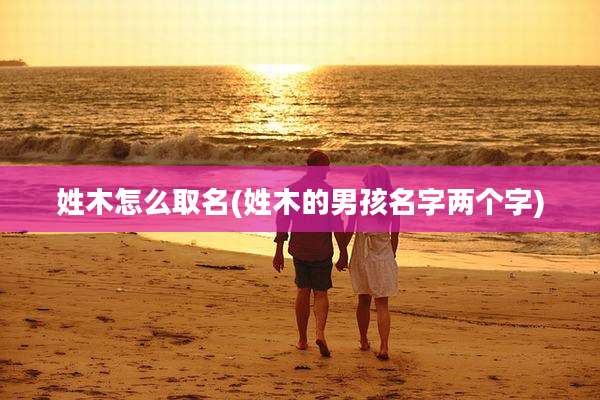 姓木怎么取名(姓木的男孩名字两个字)