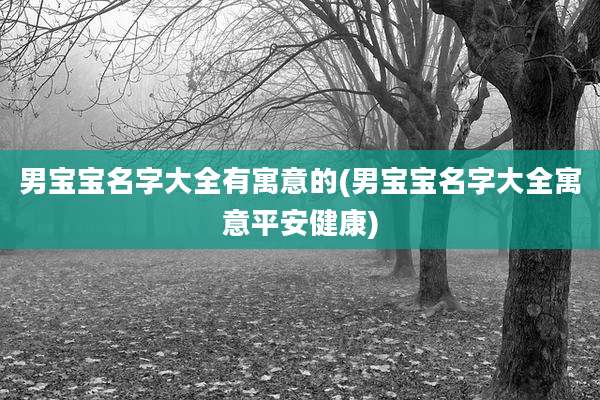 男宝宝名字大全有寓意的(男宝宝名字大全寓意平安健康)