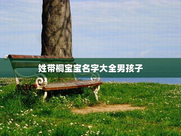 姓带桐宝宝名字大全男孩子