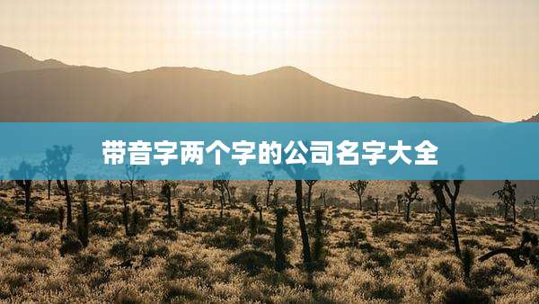 带音字两个字的公司名字大全