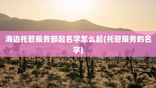 海边托管服务部起名字怎么起(托管服务的名字)
