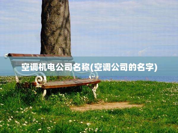 空调机电公司名称(空调公司的名字)