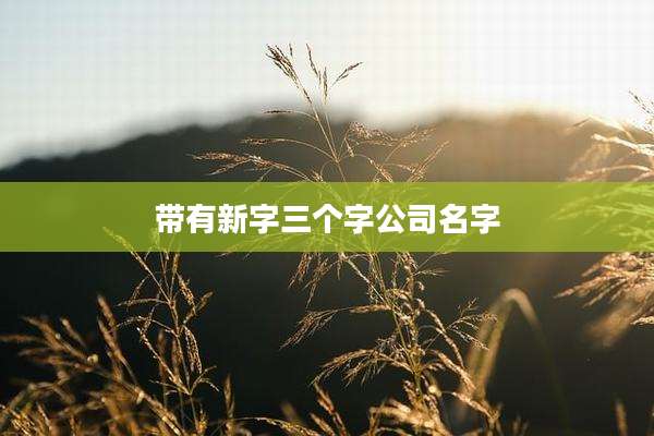 带有新字三个字公司名字