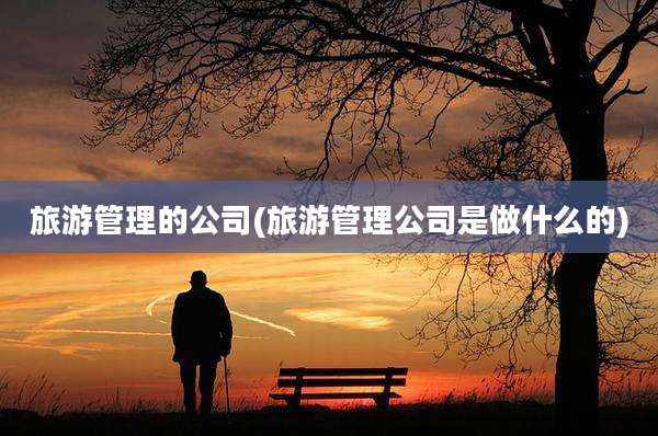 旅游管理的公司(旅游管理公司是做什么的)